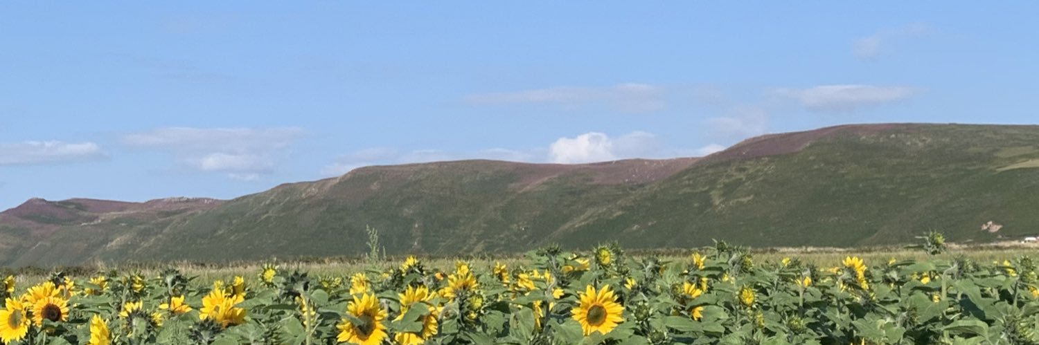 Steve Forsdick banner