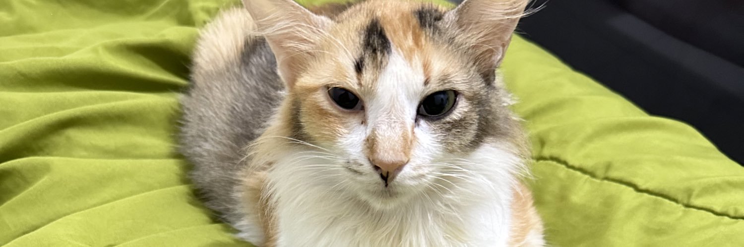 perfectlilMoNS's profile banner image