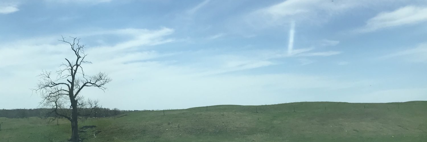Corvinesque's profile banner image