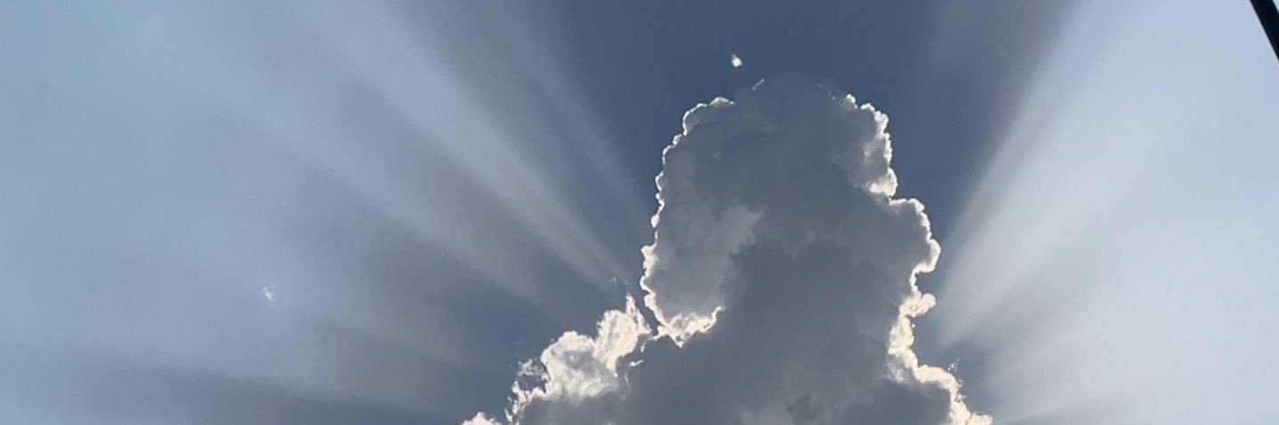 فُـوز☢️. banner