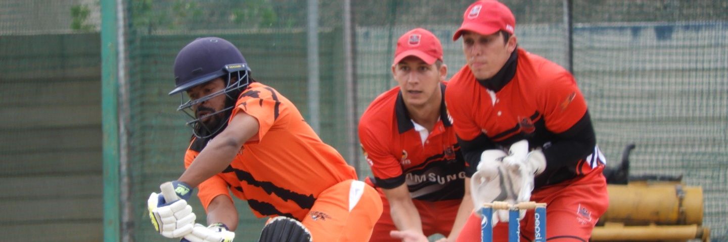 Namibian Cricket banner
