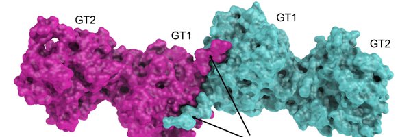 fornerislab Profile Banner