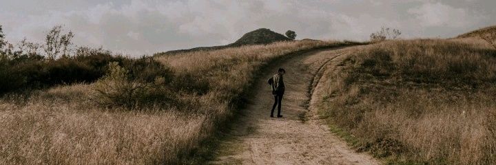 steplespink's profile banner image