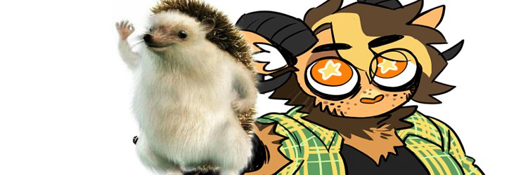 jidoxe's profile banner image