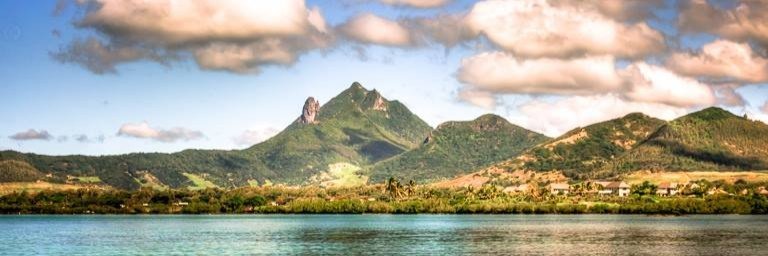 Dominique Vellin banner