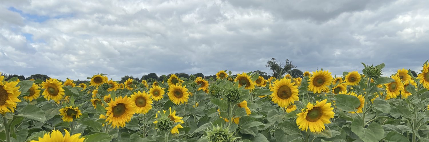 🌻 Haitham the third ⠠⠓⠁⠊⠞⠓⠁⠍ܗܝܬܡلاهوهو banner