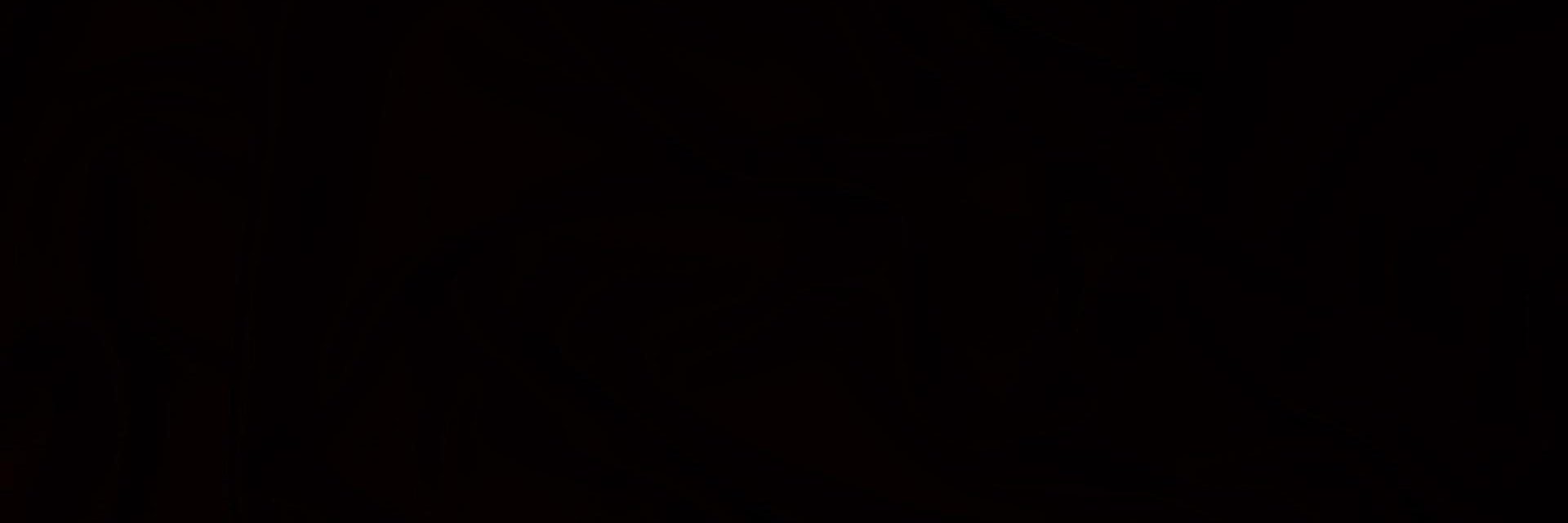 Trippy Turtle banner