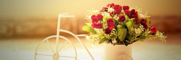 MariaWi40940053 Profile Banner