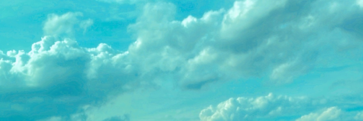 venaena's profile banner image
