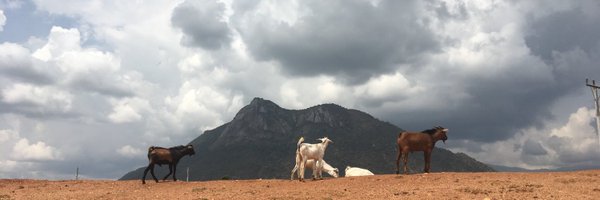 Only_Ujuum's profile banner image