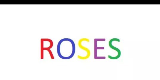 Rosesluv's profile banner image