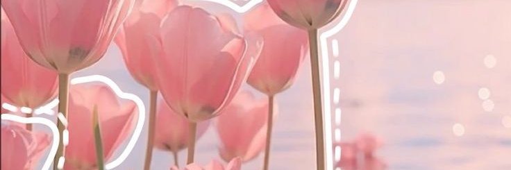 yonagatensuke's profile banner image