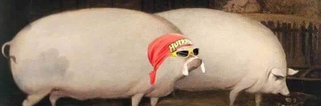 PataTheButt's profile banner image