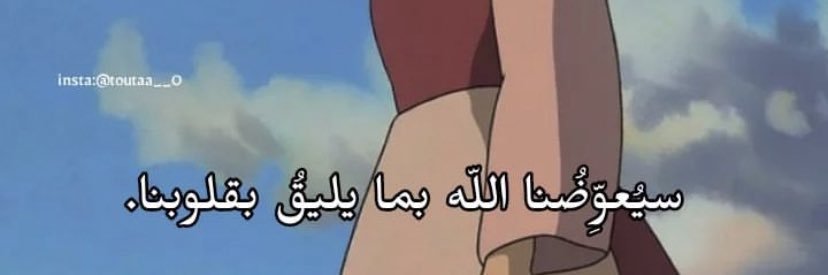 Maryam Nasser banner