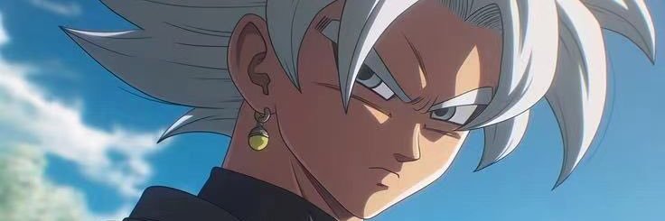 Trunks banner