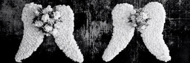 PersonalMode's profile banner image