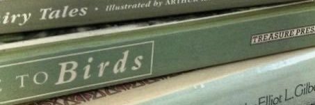 bel new au📌 banner