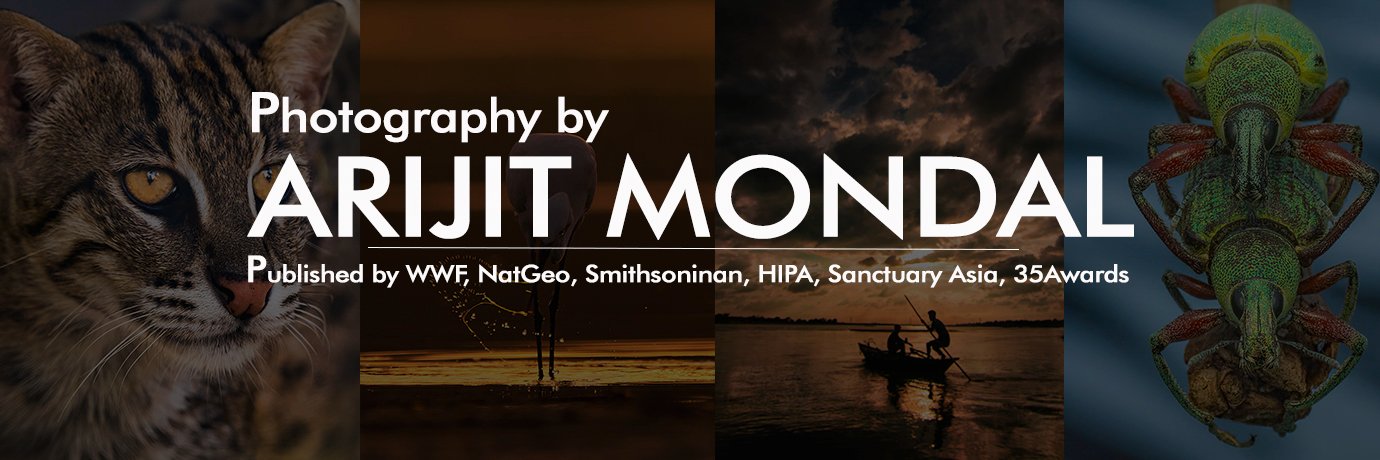 Arijit Mondal's banner