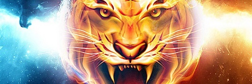 macan_semesta's profile banner image
