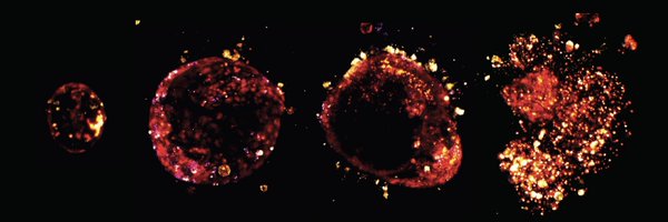 stefaniembader Profile Banner