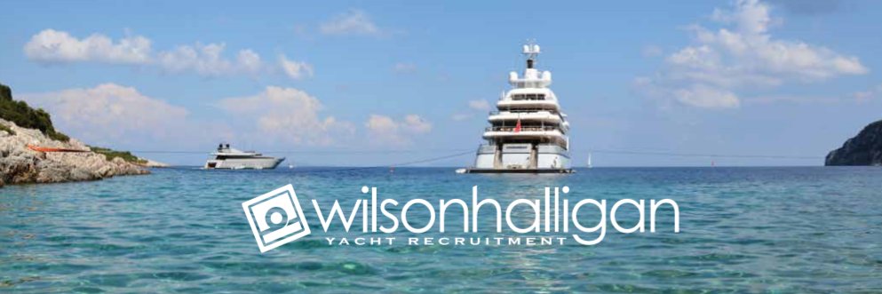 wilson_halligan's profile banner image
