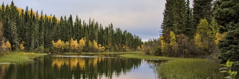 LeAundra Schöpflin, M.S. banner