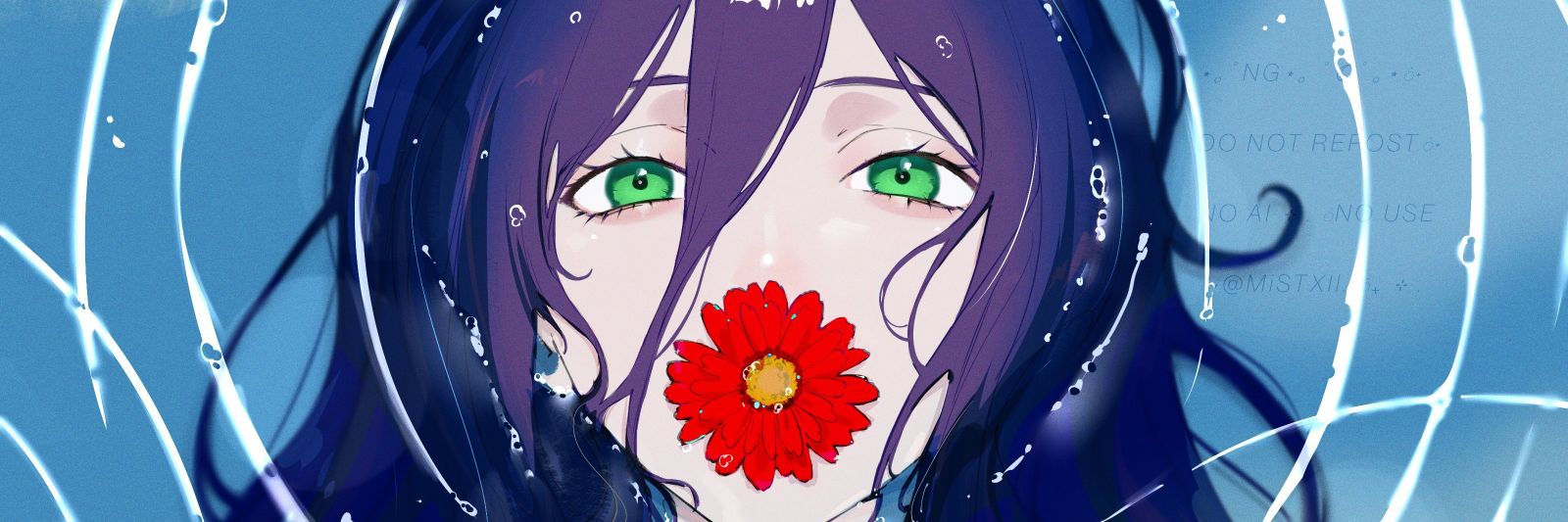 Papilloshi | CR : Camelot banner