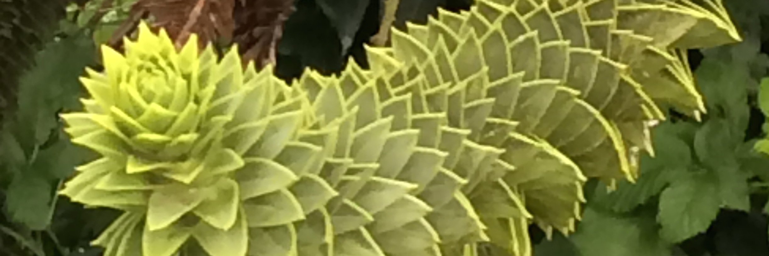 HSarengat's profile banner image
