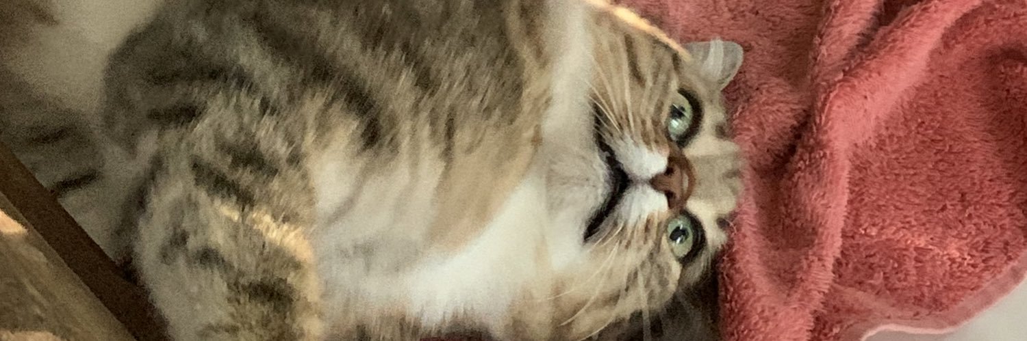 ouinnnnnn's profile banner image