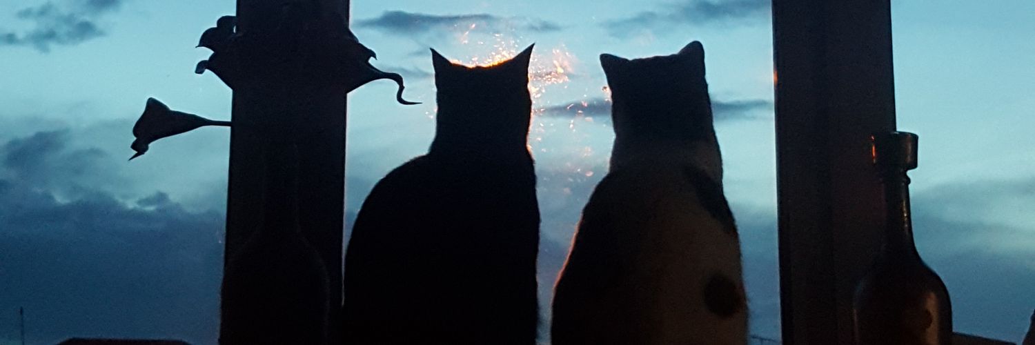Nikki_Kav's profile banner image