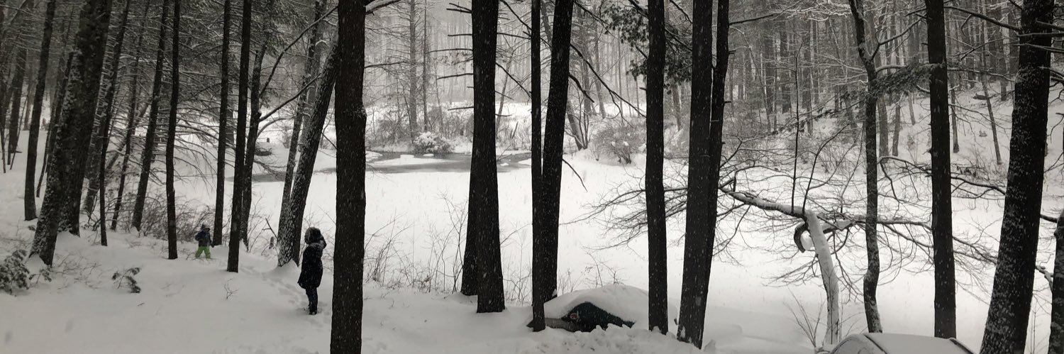 Laura Zittrain banner