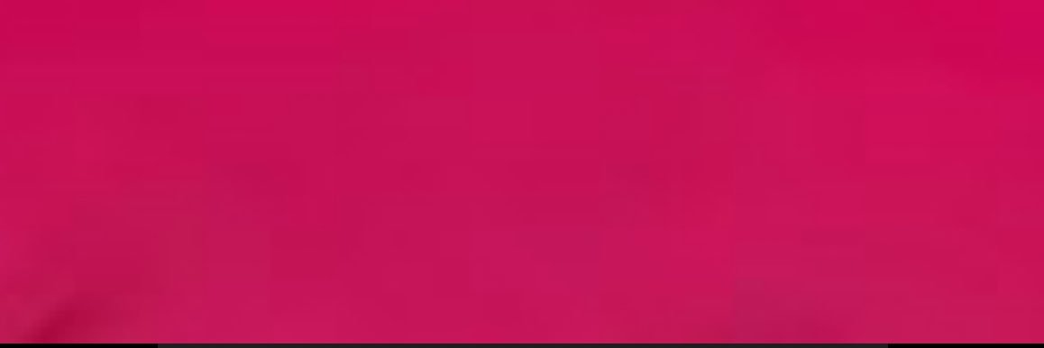 🐻 banner