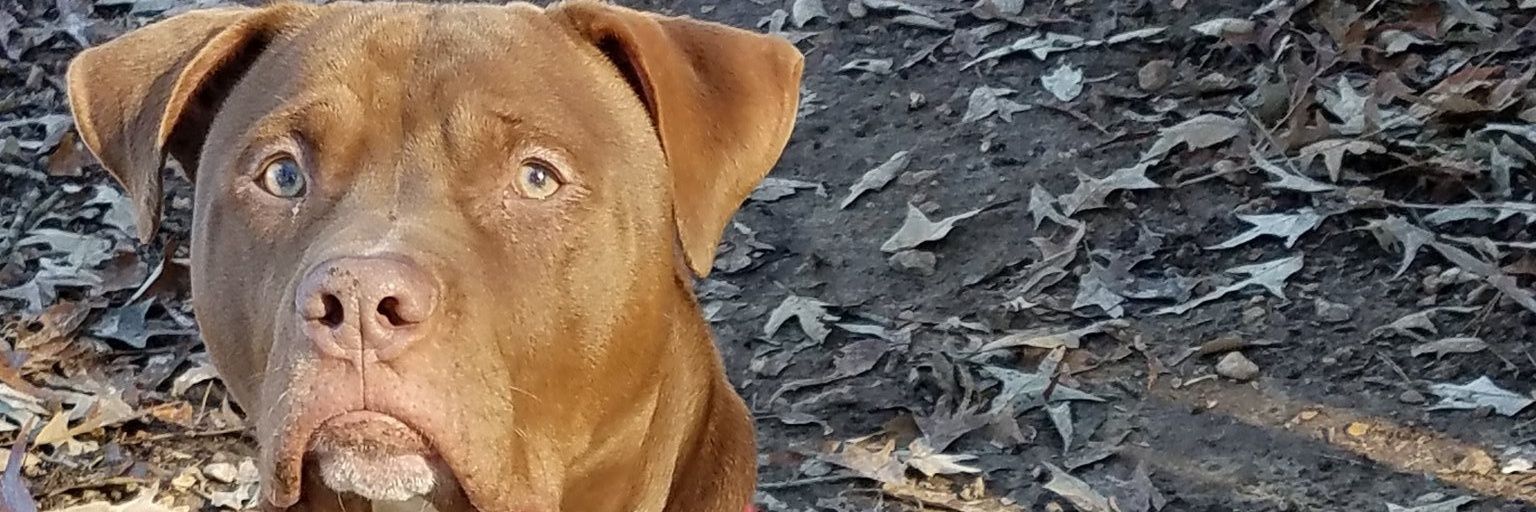Wondernug210's profile banner image
