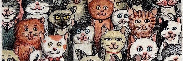 ann_0505's profile banner image