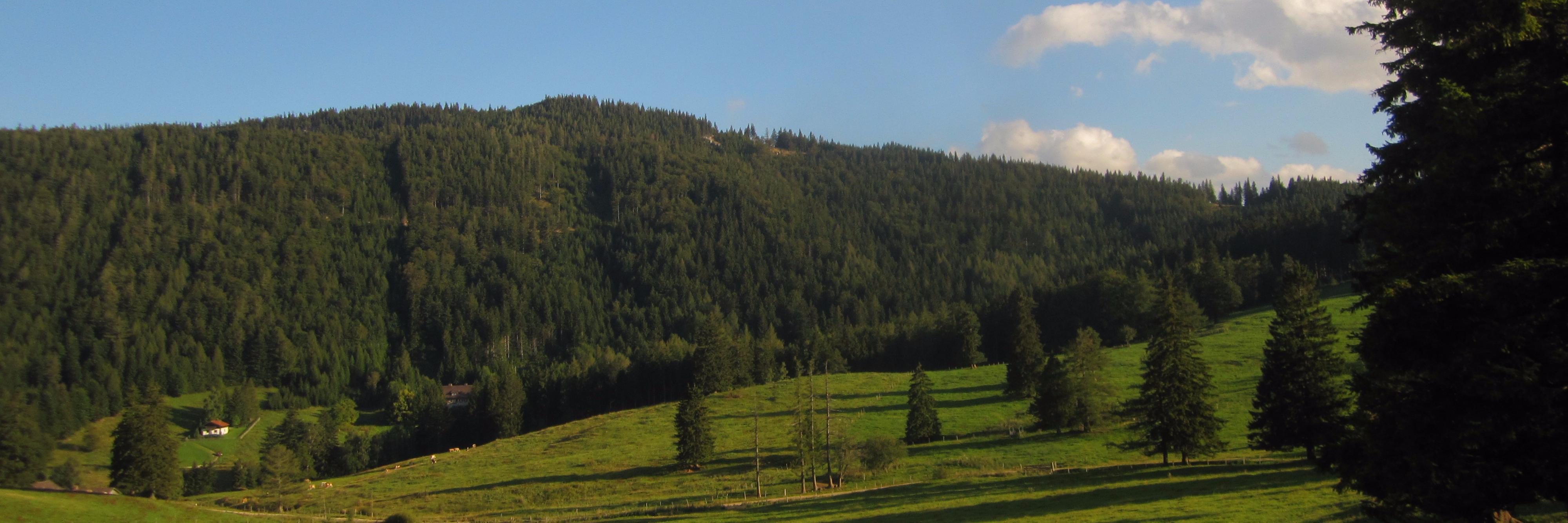 aroamontalt's profile banner image