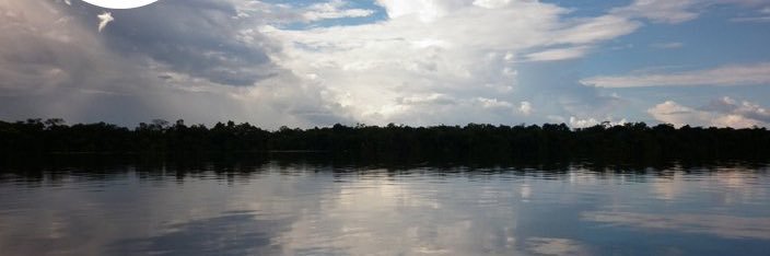 Programa Biota/Fapesp banner