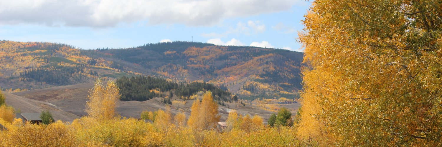 Jennifer Larson banner