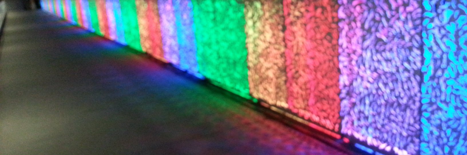 Timothy Johnson banner