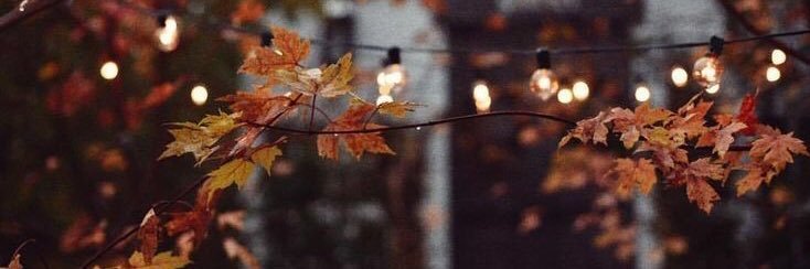 maareebeear's profile banner image
