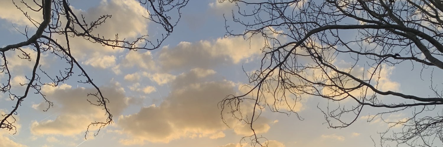 LaBabs1's profile banner image