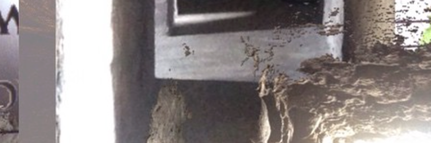 _ling_____'s profile banner image