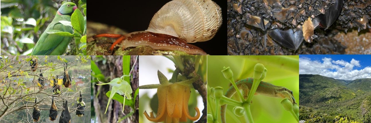 island biodiversity banner