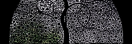 abh876's profile banner image
