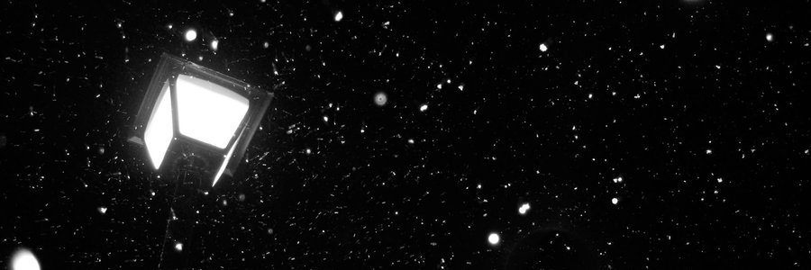 WingedBread's profile banner image