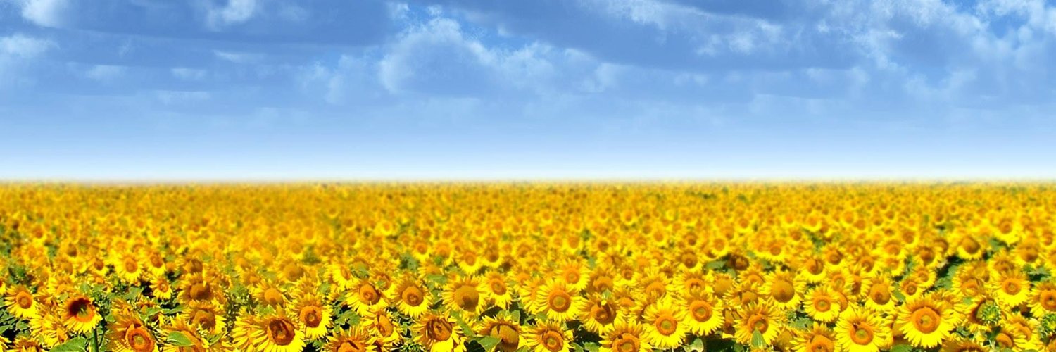 IgorLuganskiy's profile banner image