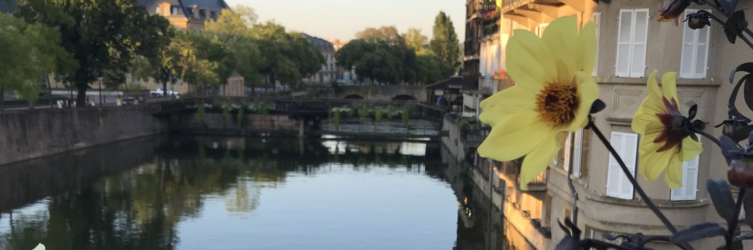 MorelleCo's profile banner image
