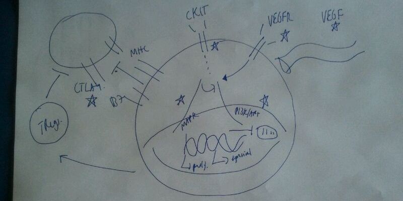 Iván Márquez Rodas 🇪🇦 banner