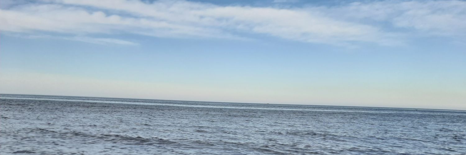 🇮🇷ماهی banner