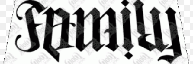 salinasveloz's profile banner image