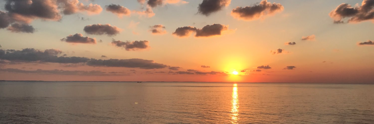 Vibarabotti's profile banner image